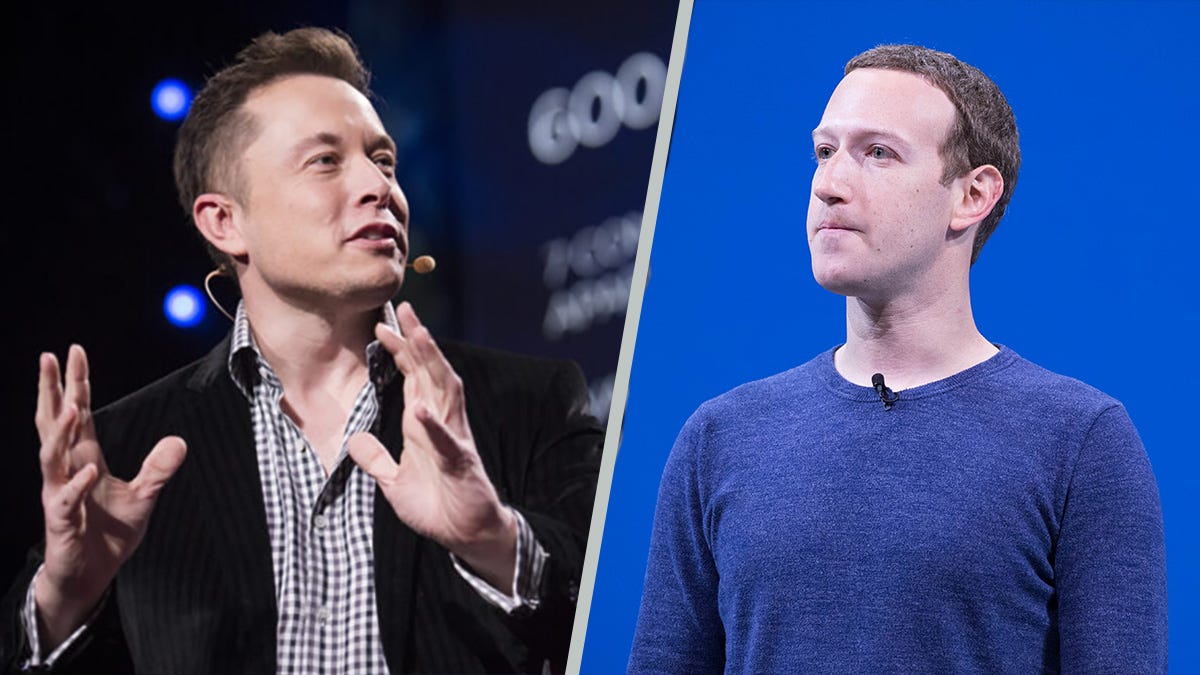 „Meciul secolului”, ANULAT! Musk îl numește „laș” pe Zuckerberg, șeful Meta anunță ce vrea să facă