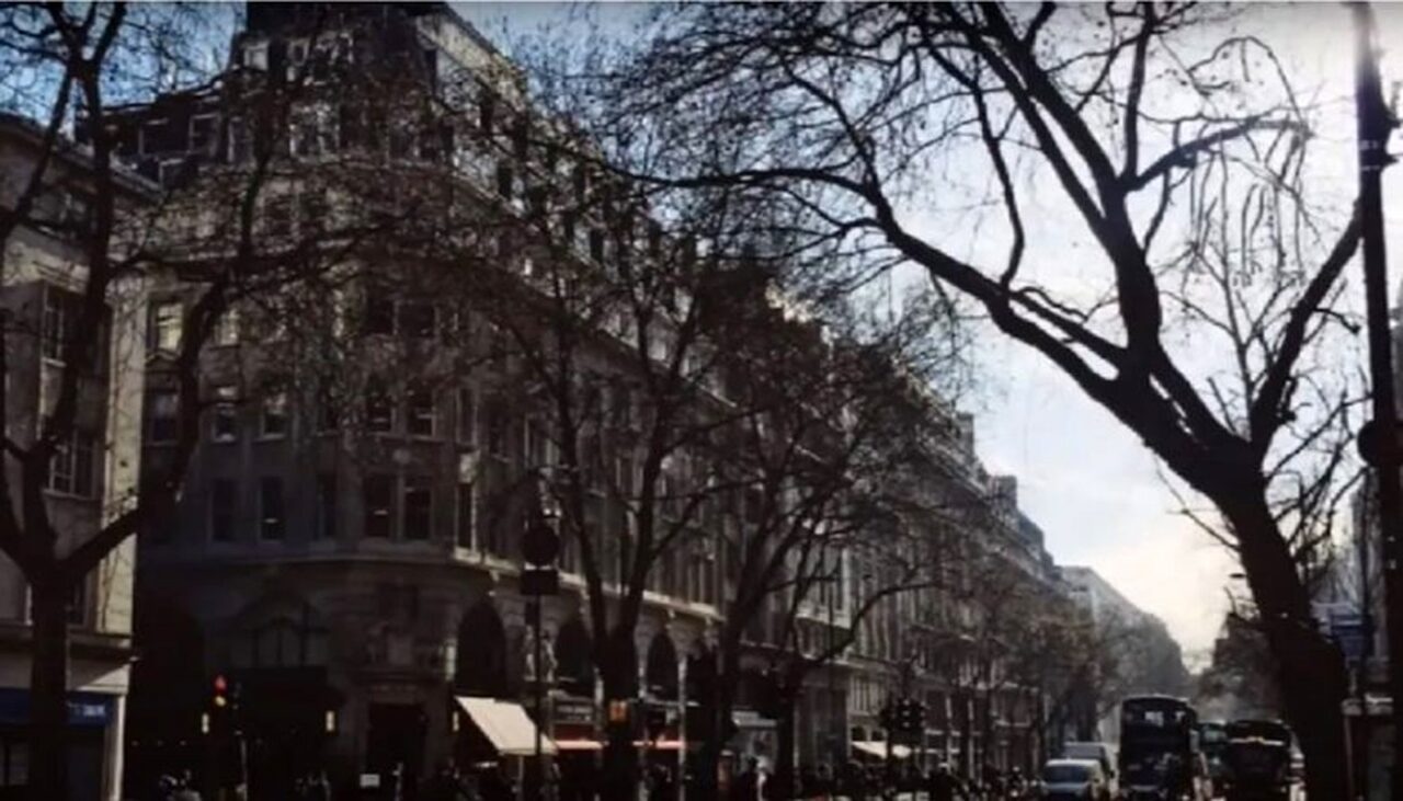 ILUZIE optică virală | Poți găsi câinele ascuns în această fotografie? Doar 1 din 100 îl văd!