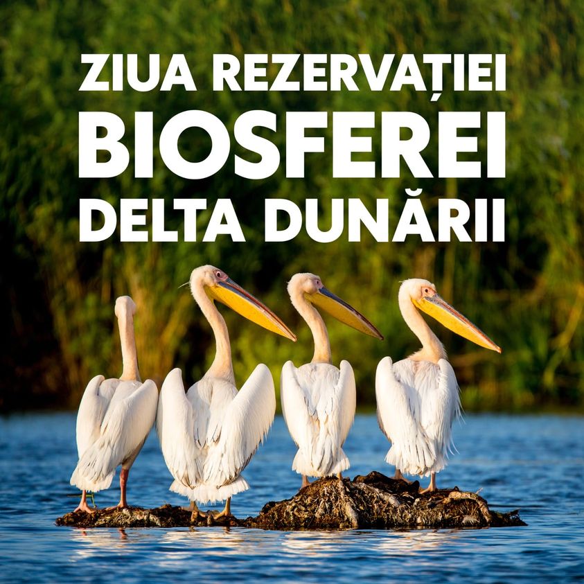 Ministrul Economiei, Antreprenoriatului și Turismului, Radu Oprea, serbează Ziua Rezervației Biosferei Delta Dunării