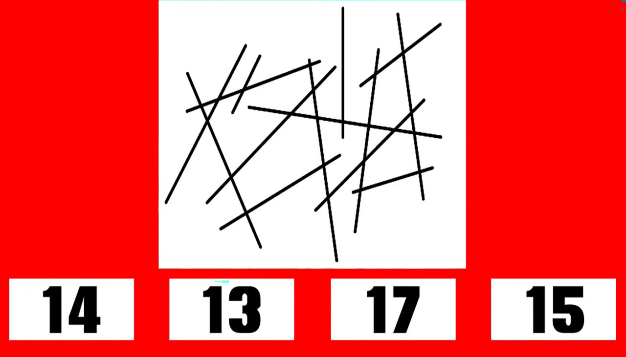 TEST IQ foarte greu | Câte linii apar în această poză: 14, 13, 17 sau 15?