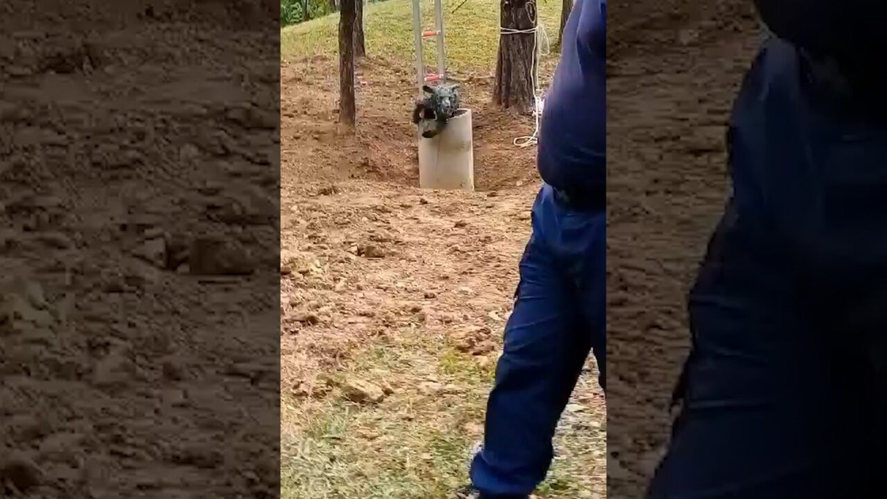 VIDEO | Prahova: Misiune neobișnuită. Un urs a fost salvat de pompieri dintr-o fântână