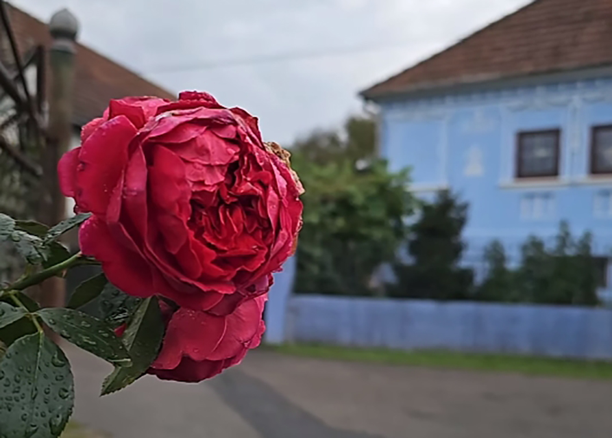 Locul SUPERB din România cunoscut de puțini turiști. Unde se află colțul de rai cu case vechi de sute de ani