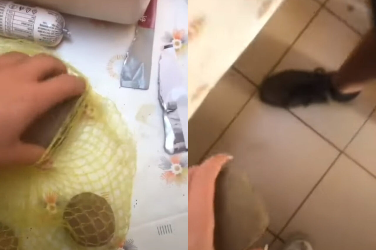 Ireal ce a găsit o femeie în sacul cu CARTOFI cumpărat de la magazin. „Ne dăm seama după…”