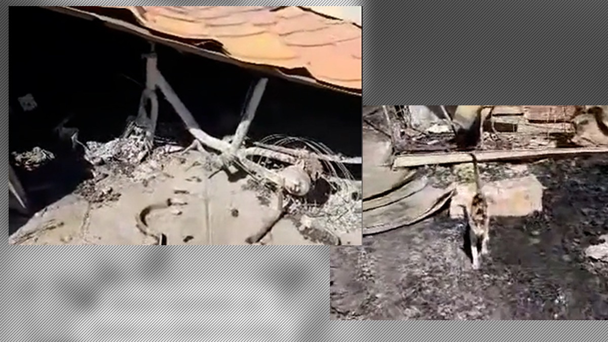 VIDEO | Scene cutremurătoare la Crevedia. Ce a rămas dintr-o gospodărie: un tractoraș de plastic, două pisici și scrumul unui papagal