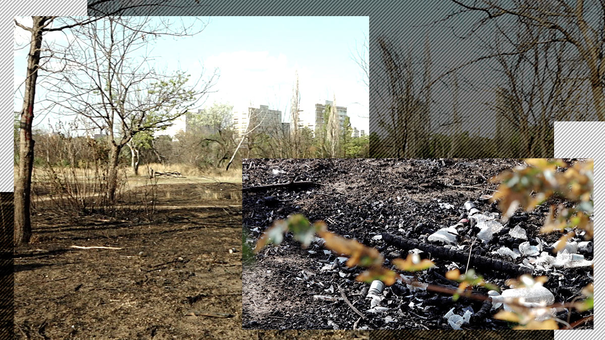 EXCLUSIV VIDEO | Dezastrul ecologic din apropierea Parcului IOR pare fără sfârșit: „Ce s-a întâmplat aici este o crimă”