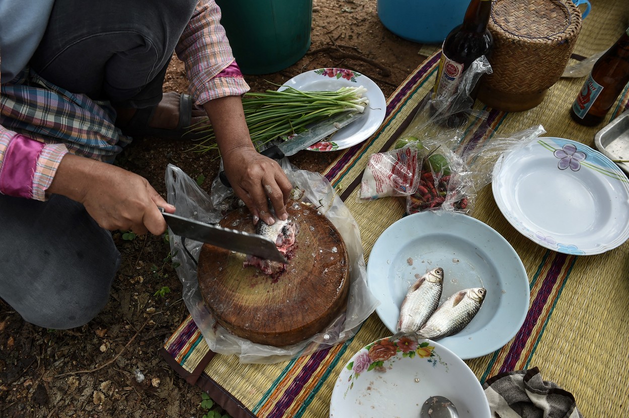 DELICATESA thailandeză care te poate îmbolnăvi de cancer dintr-o singură gustare. Localnicii se împotrivesc interzicerii sale