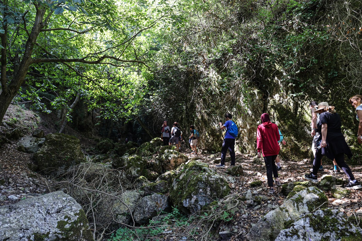 CAPCANE din cuie, descoperite într-o pădure frecventată de turiști, în Gorj