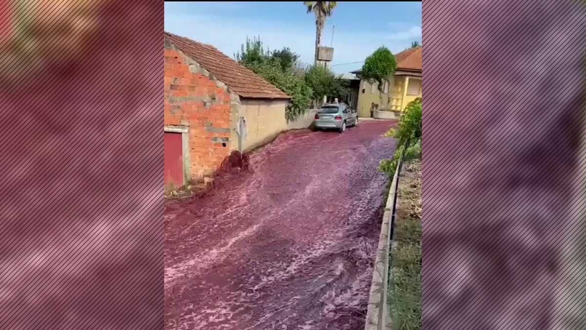 VIDEO | Oraș din Portugalia, invadat de un râu de culoare roșie după ce din două camioane s-au vărsat, din greșeală, milioane de litri de vin