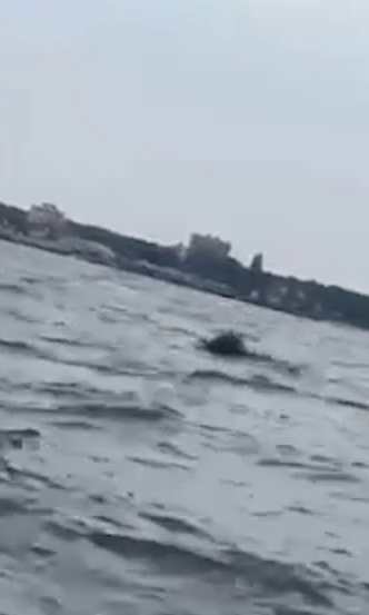 VIDEO | Un obiect plutitor asemănător unei mine marine a alarmat oamenii din stațiunea Jupiter. MApN susține că e vorba de o baliză