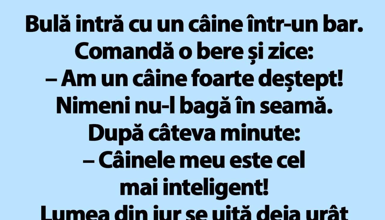 BANC | Bulă intră cu un câine într-un bar