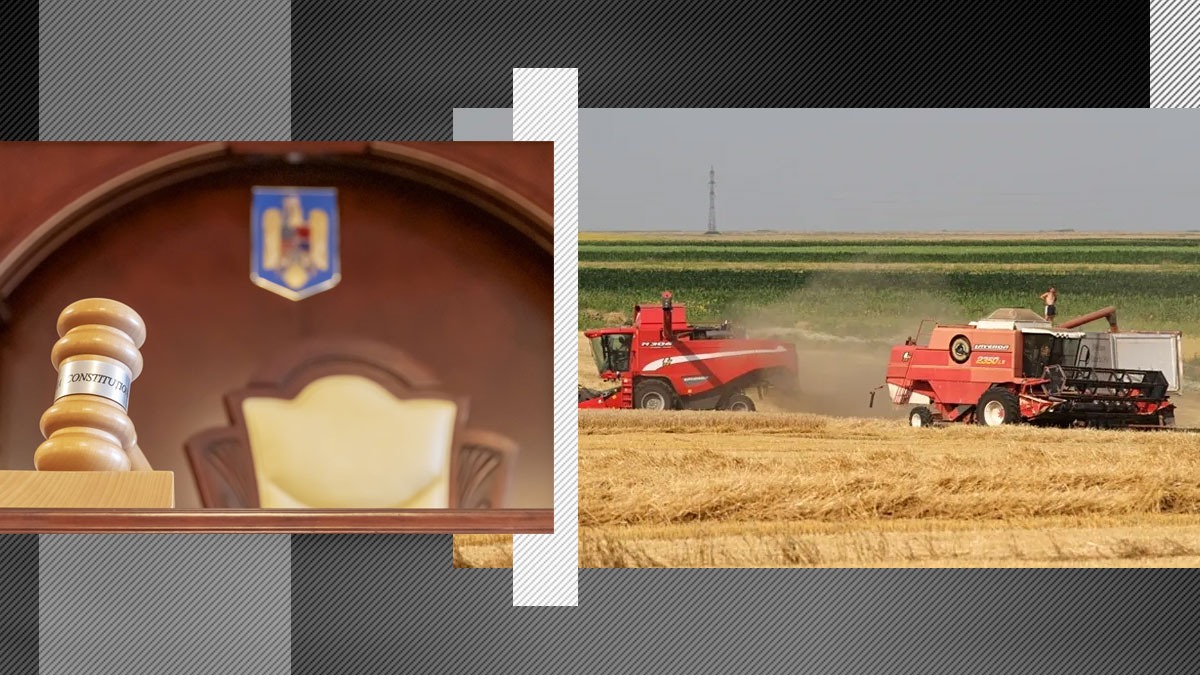 „Legea arendei” este neconstituțională. Care sunt prevederile care încalcă dreptul de proprietate, în opinia CCR