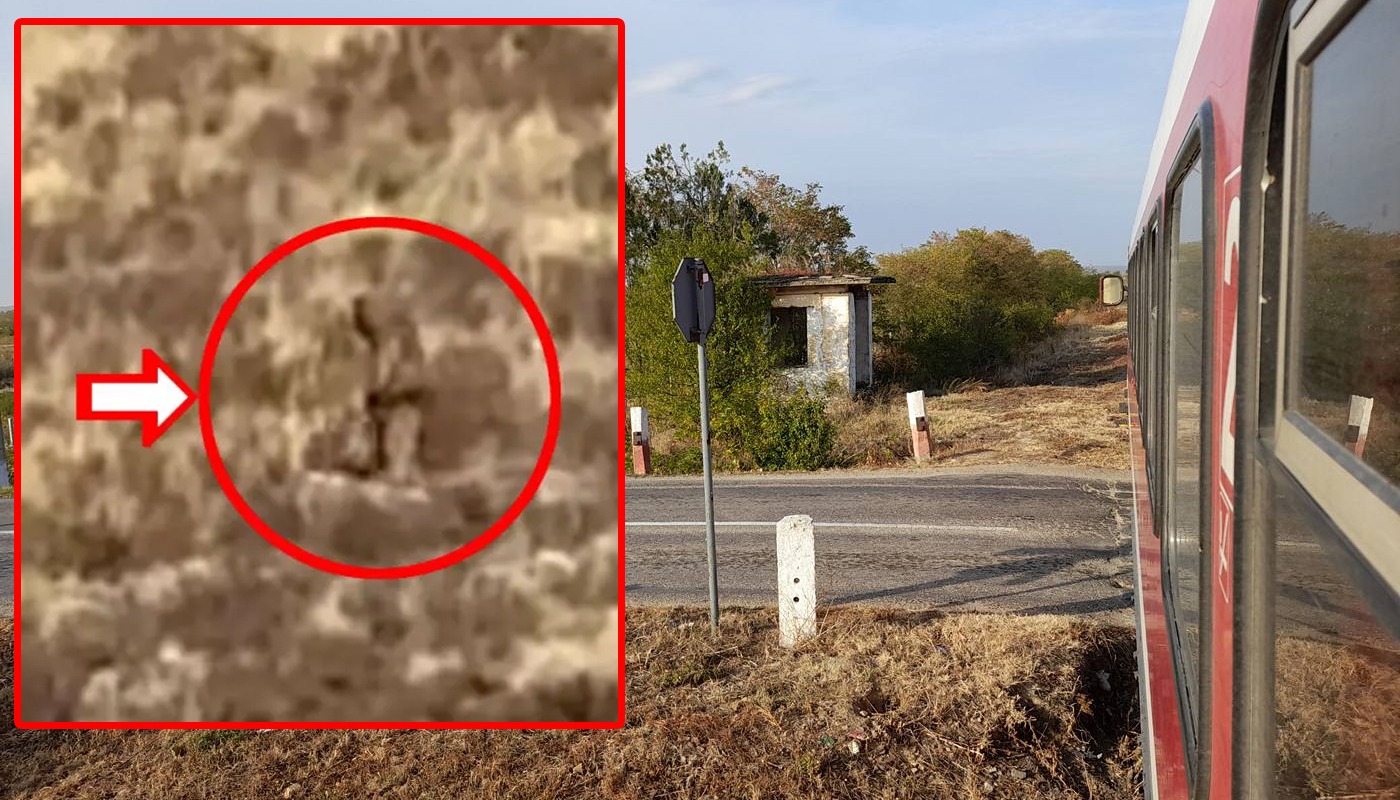 Descoperire IREALĂ făcută din greșeală de un turist. Ce a filmat pe geamul trenului