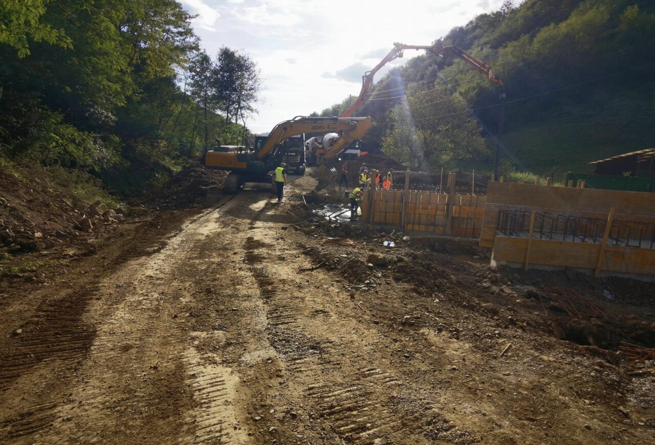 Un CIOBAN din Argeș a tăiat o pădure ca să construiască un drum până la stână/Cine a sesizat autoritățile