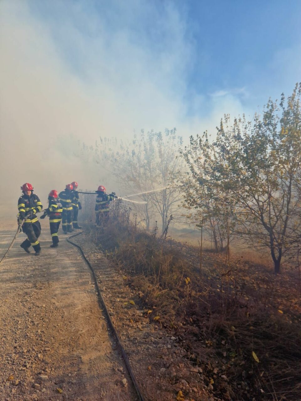 Un pompier a fost rănit în timp ce intervenea la un incendiu de pădure, după ce un copac s-a prăbușit