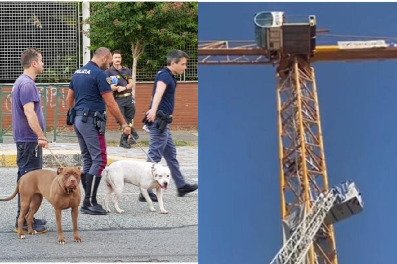 Un român a amenințat că se aruncă de pe o MACARA, în Italia. „Îmi vreau casa înapoi!”
