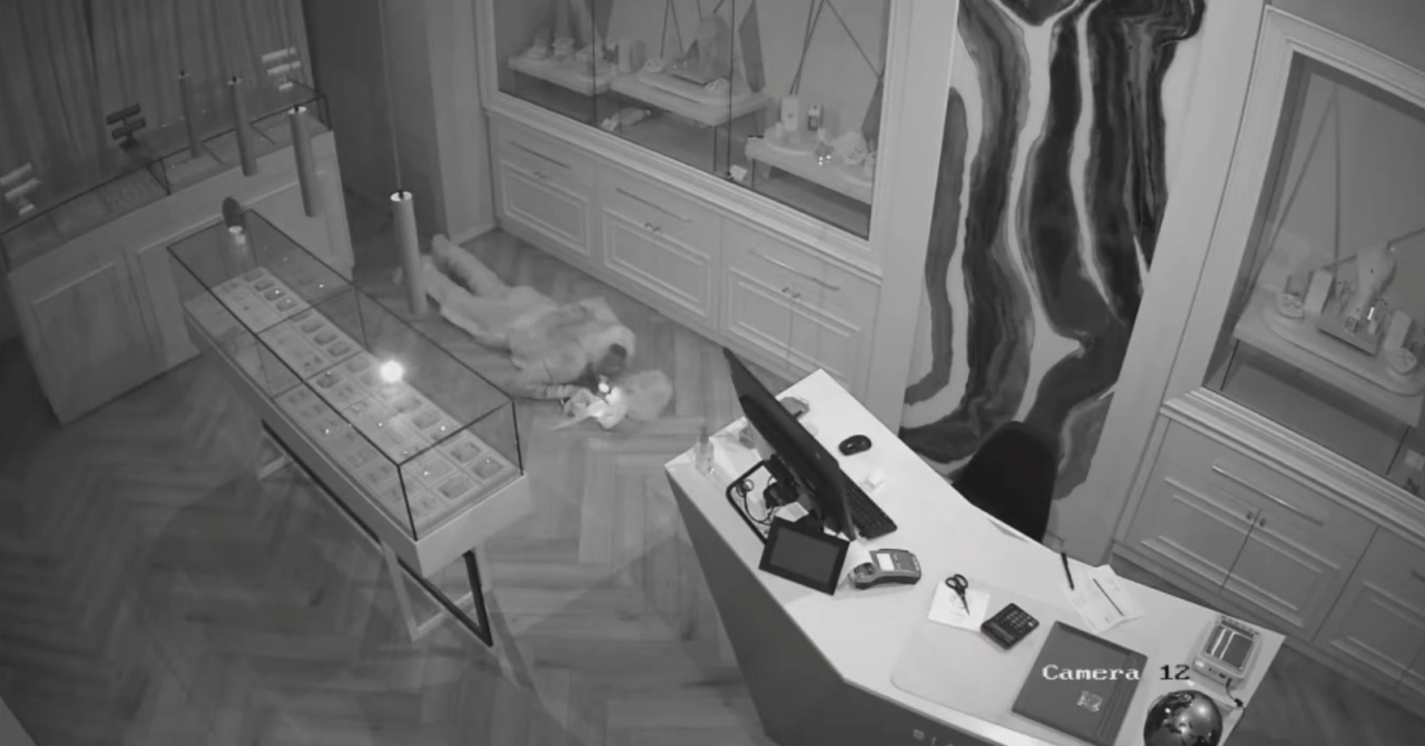 VIDEO | Două persoane bănuite de FURT calificat au fost reținute de polițiști