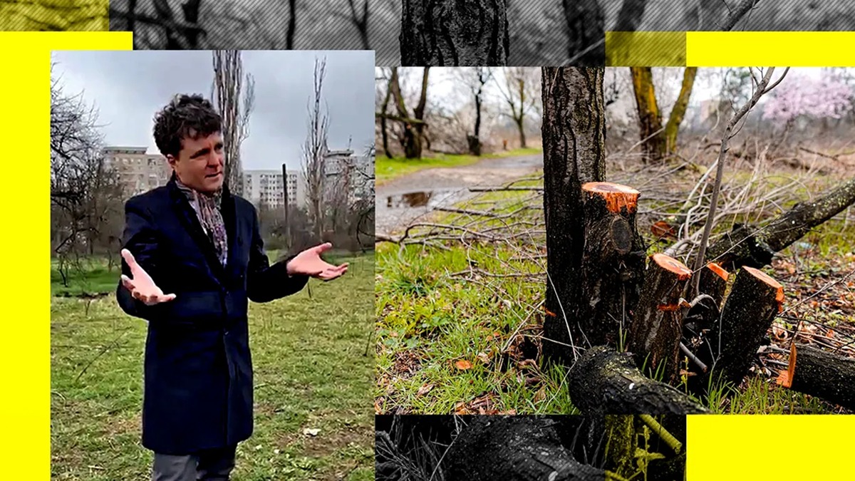 Robert Negoiță îl acuză pe Nicușor Dan că-i defrișează Sectorul de dragul termoficării. Primarul de la 3 nu a avut timp să salveze arborii
