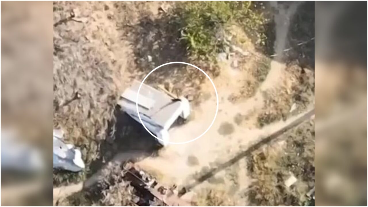 VIDEO: Moment uluitor în Ucraina, cu o PISICĂ neagră în centrul unei confruntări militare. Chiar au 9 vieți!