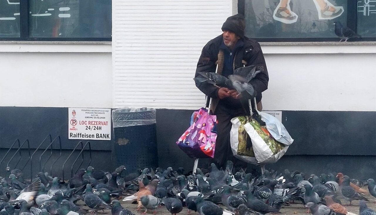 Adevărul din spatele acestor imagini. Cine e, de fapt, cerșetorul din Iași care hrănește porumbeii