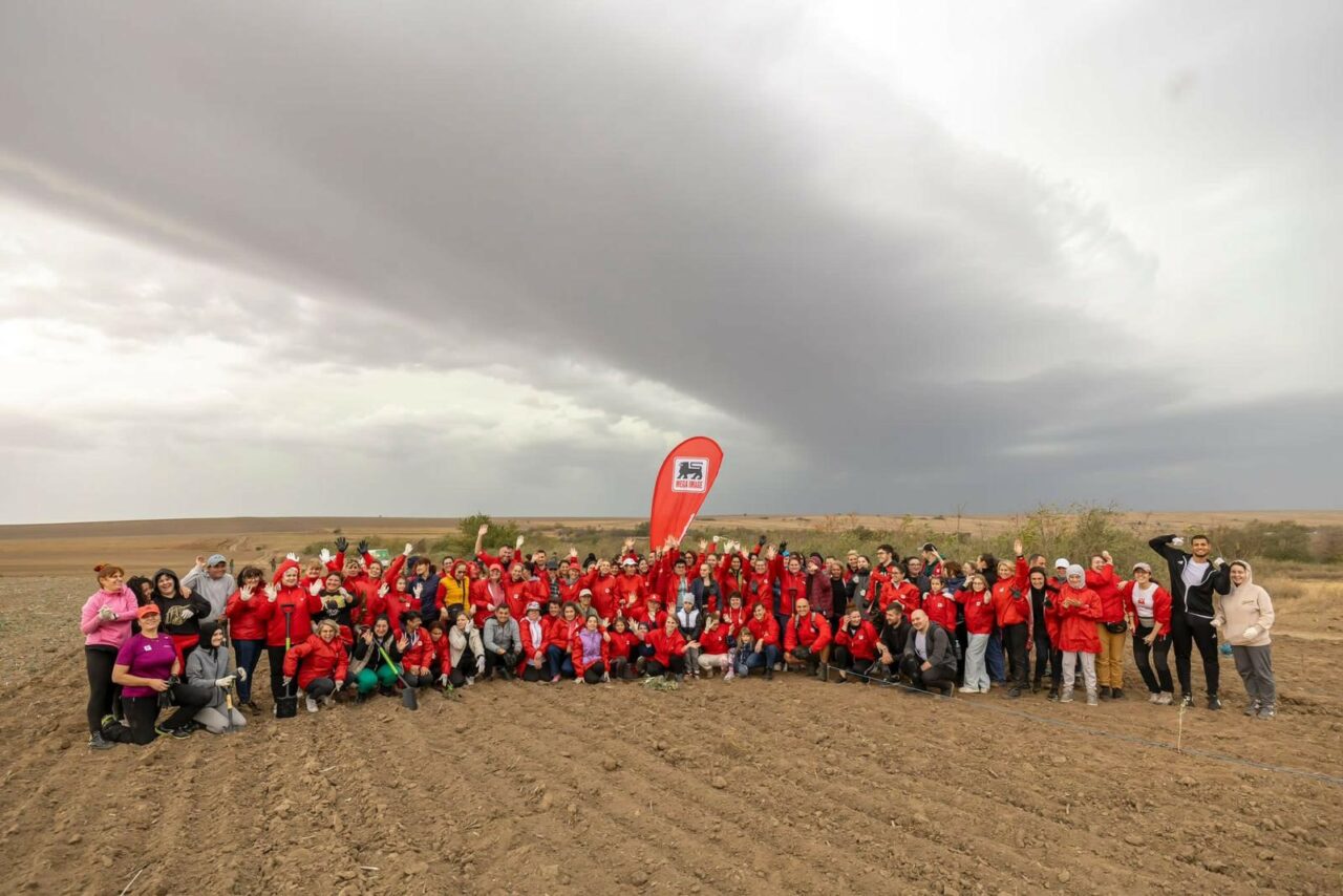Mega Image plantează o pădure nouă, de 12.000 de copaci, unul pentru fiecare angajat