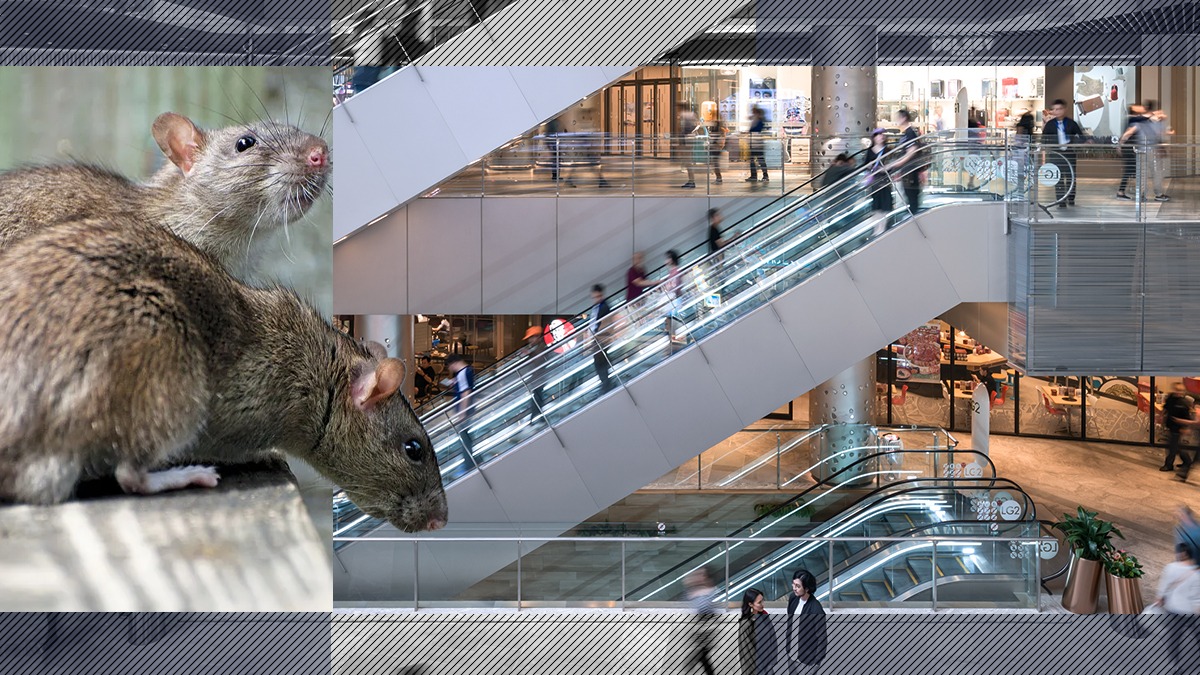 ANPC a verificat peste 40 de operatori economici din Mall Băneasa. Unităţi închise temporar pentru că foloseau un culoar de trecere insalubru