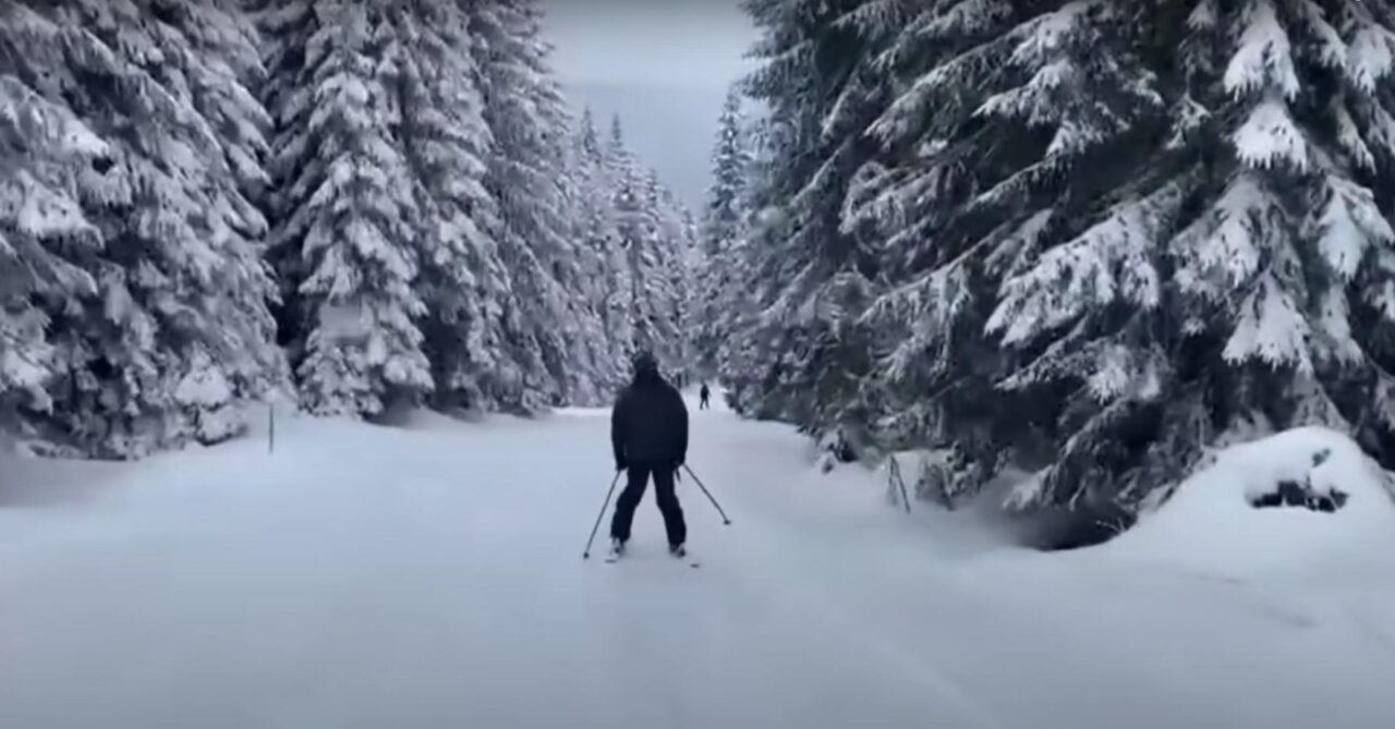 Stațiunea din România în care turiștii au parte de experiențe ca în Alaska. Cât costă un traseu de o zi cu atelaje trase de câini Husky