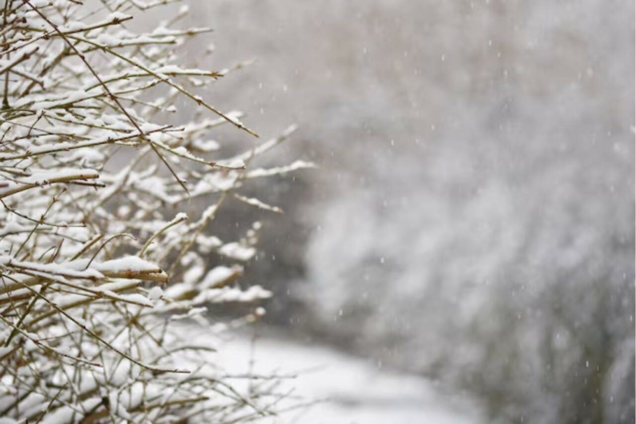 Prognoza meteo. Vremea se schimbă RADICAL. Un val de ninsori și ger va lovi România, iar temperaturile scad până la -15 grade Celsius