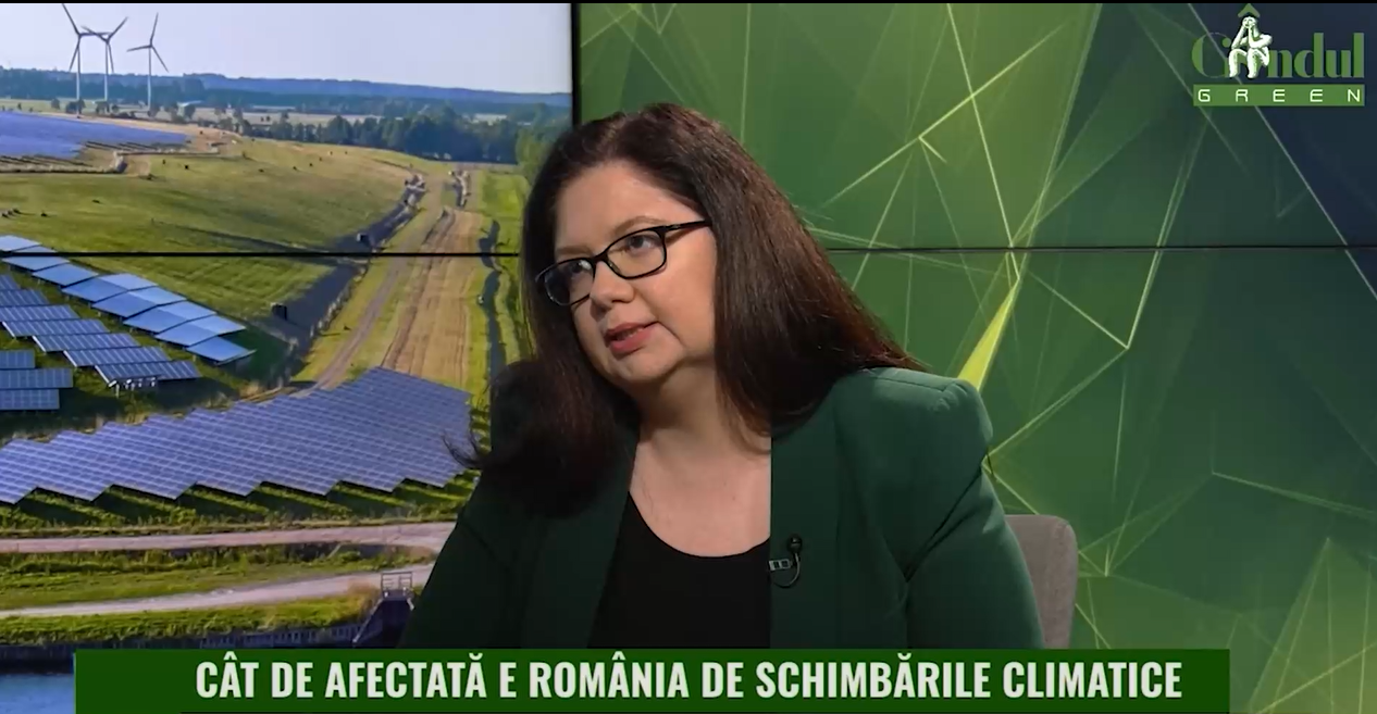 Alexandra Bocșe: „Pentru România și pentru Europa este foarte important să dezvoltăm o industrie verde”