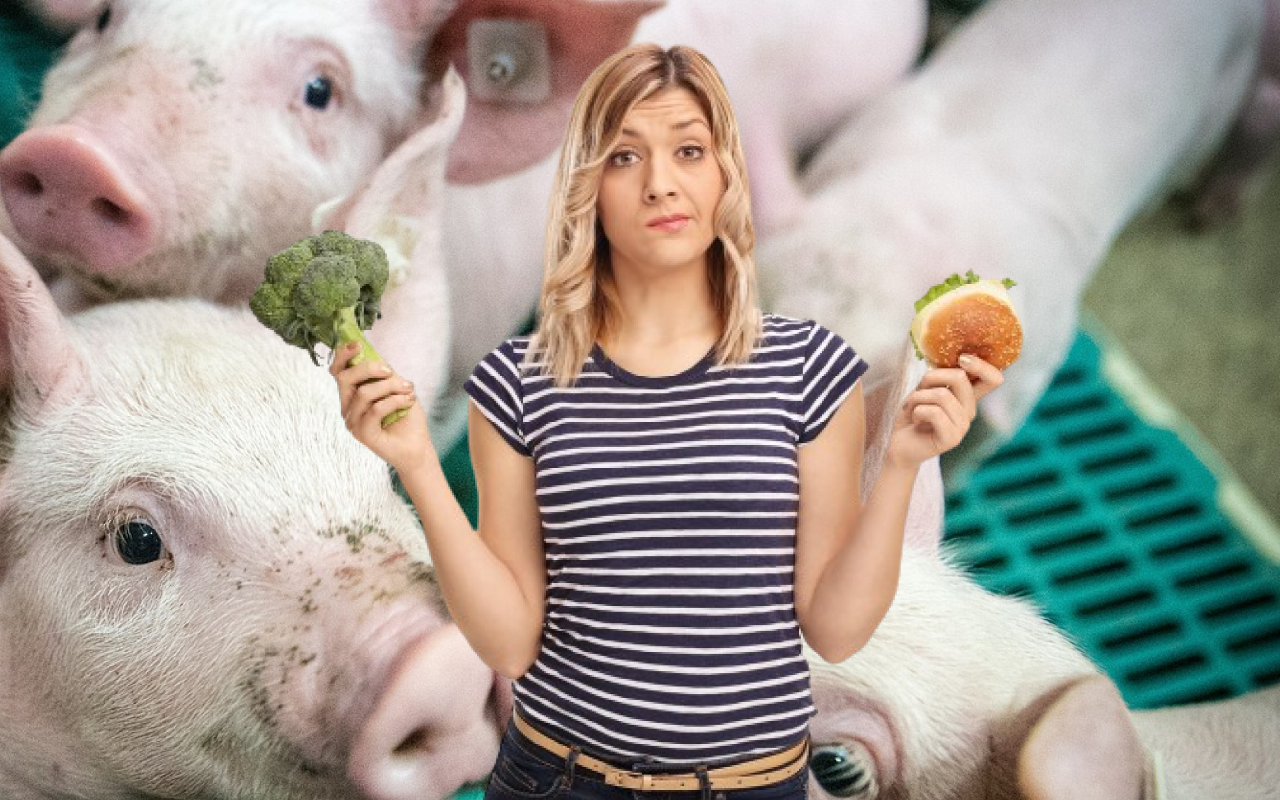 Țara europeană care are „mai mulți PORCI decât oameni” își îndeamnă populația să treacă pe hrană vegetală. Care este motivul?