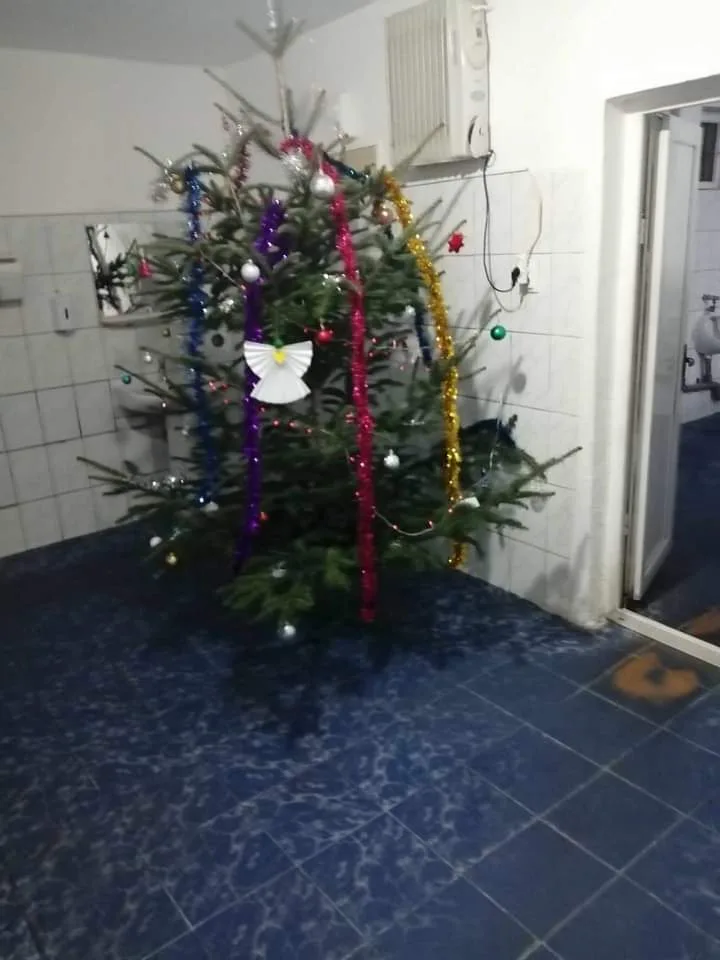 BRAD de Crăciun, montat în toaleta Parcului Central din Târgu Jiu. Este împodobit și acoperă două chiuvete