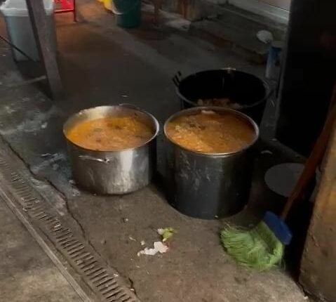Focar de INFECȚIE la o pensiune din Vâlcea. Mâncare pe jos, saltele murdare și animale în bucătărie