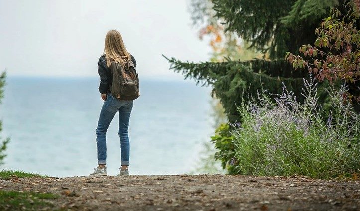 Test IQ. Doar 5% din oameni pot descoperi pisica ascunsă în imagine în 21 de secunde. Dacă reușești înseamnă că ai o minte sclipitoare