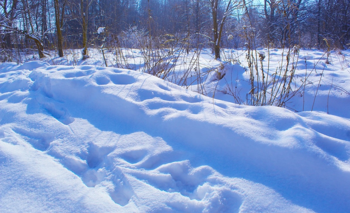 România, lovită de ger. Orașele unde temperaturile scad vertiginos și ninge. Anunțul ANM