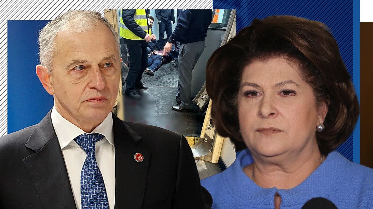 Europarlamentarul Rovana Plumb, după incidentul din „Avionul Groazei”: „Bărbatul s-a așezat chiar lângă dl. Geoană!”