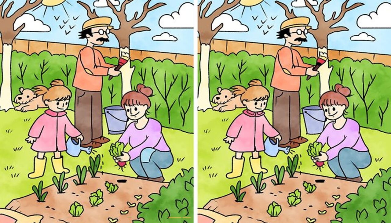 TEST IQ | Găsiți toate cele 5 diferențe dintre aceste două imagini