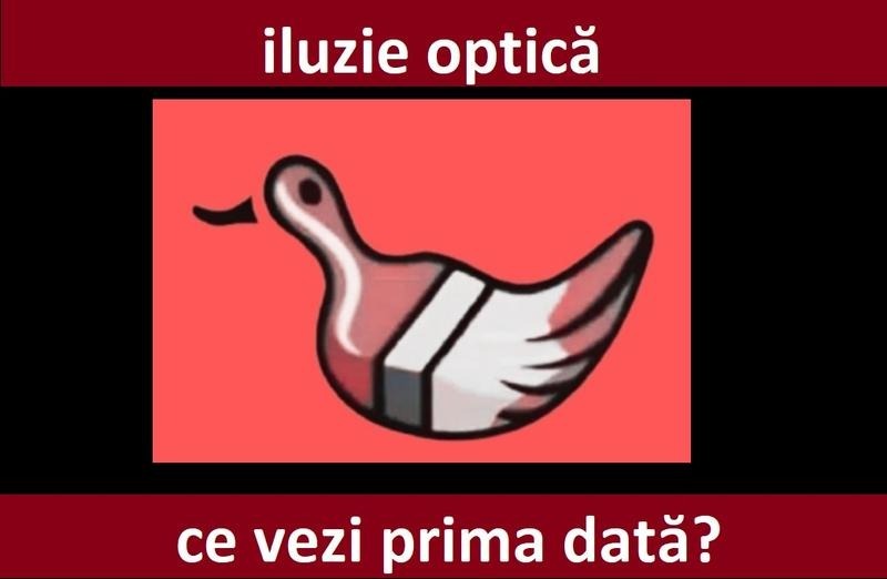 TEST | Ce vezi prima dată? Testul care îți arată ce fel de om ești, de fapt