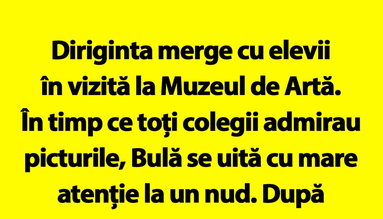 BANC | Bulă, la Muzeul de Artă