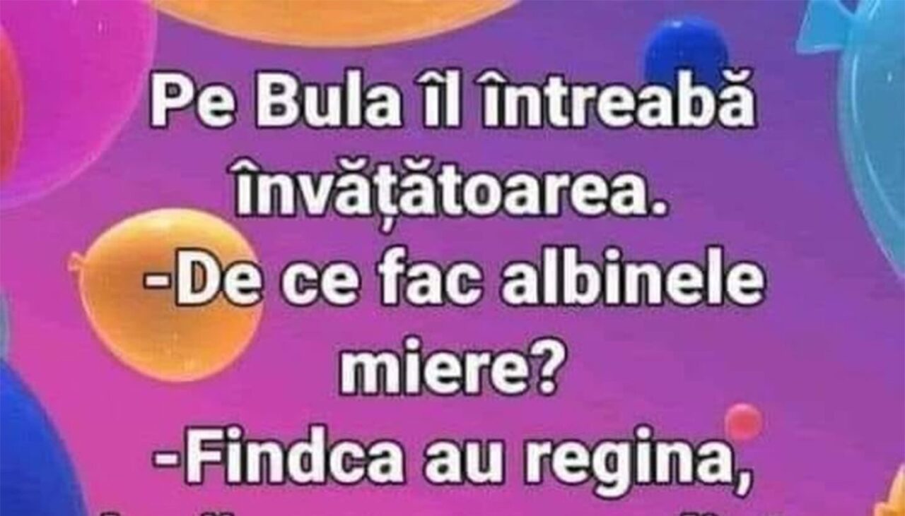 BANC | „Bulă, de ce fac albinele miere?”