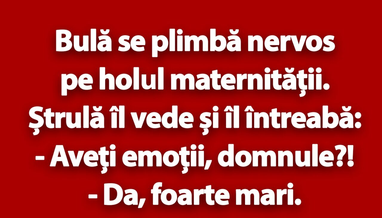 BANC | Bulă se plimbă nervos pe holul maternității