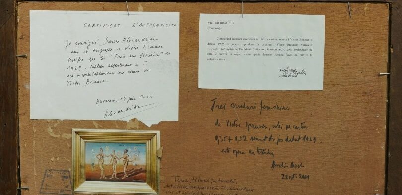 Fostul premier Adrian Năstase își retrage, în semn de protest, lucrările „Brauner” din expoziţia de la Muzeul Naţional de Artă al României