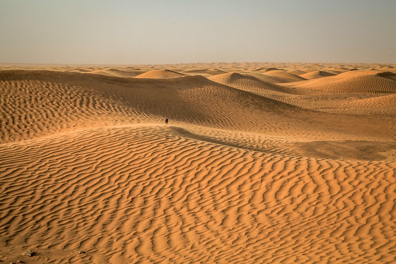 E incredibil ce s-ar întâmpla dacă Deșertul Sahara ar fi acoperit cu panouri solare