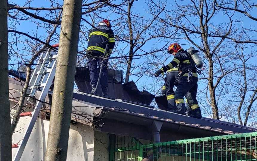 Incendiu la Grădina Zoologică din Râmnicu Vâlcea. Mai multe maimuțe au fost evacuate