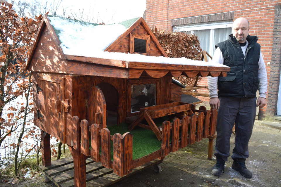 Un român stabilit în Belgia creează „VILE pentru animale”. Au inclusiv terase acoperite cu iarbă artificială și zone de picnic: „Chiar se distrează”