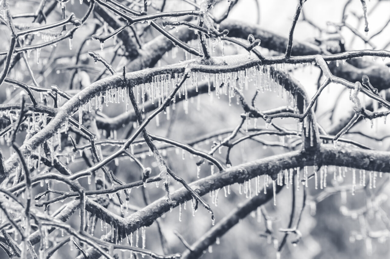 Meteorologii au emis avertizare de vreme rea în România! Furtuna cumplită din Europa ajunge și în țara noastră