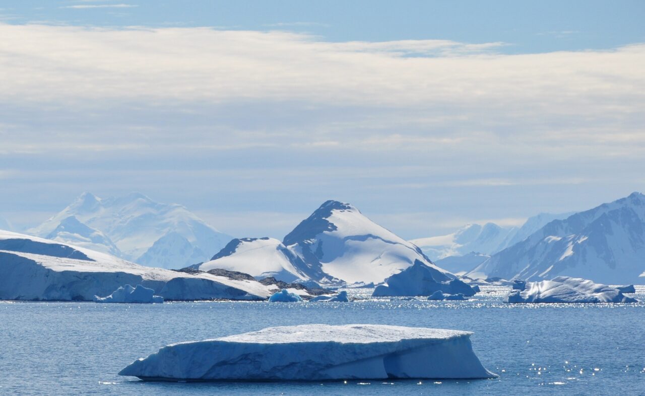 O boală care a făcut ravagii în România, DESCOPERITĂ tocmai în Antarctica