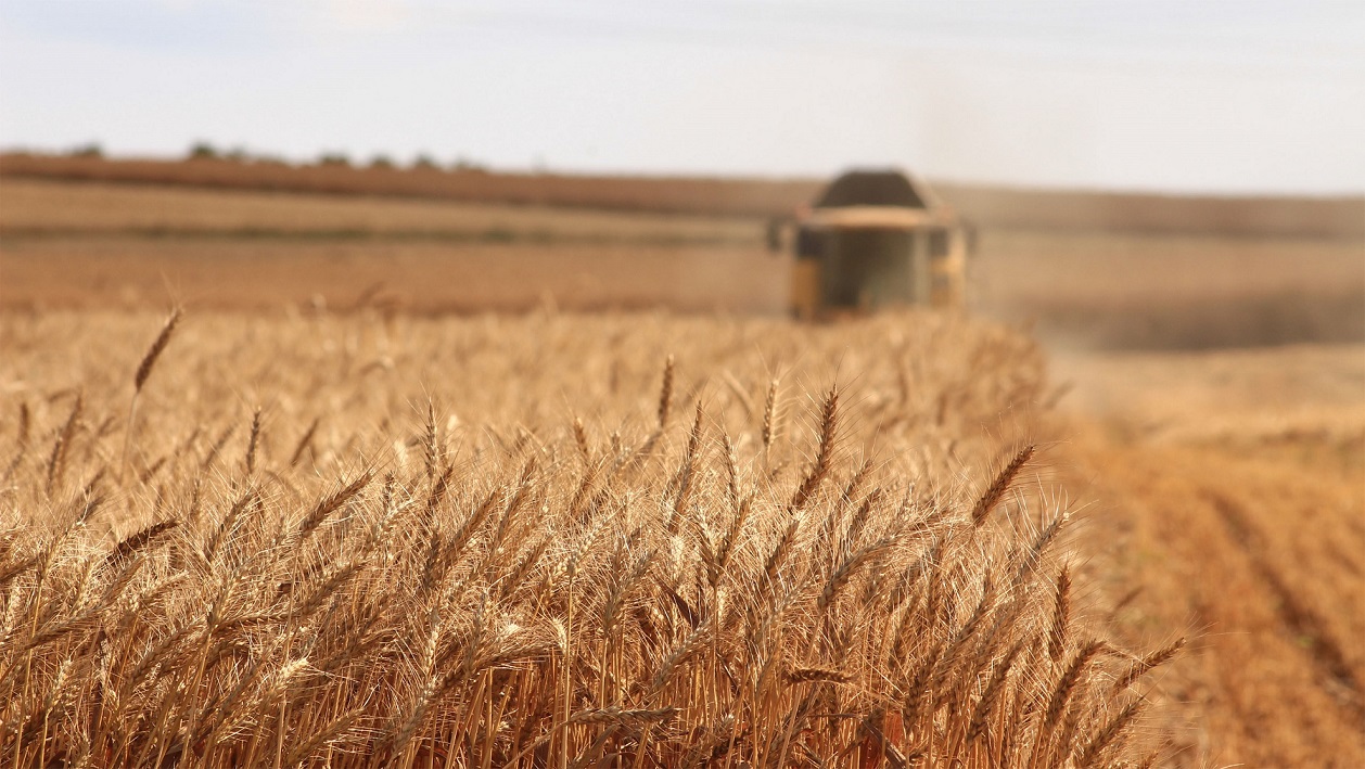 Război în Ucraina, ziua 721: Kievul, pe cale să exporte toate cerealele din recolta pe 2023/Estonia acuză Rusia de „intimidare”