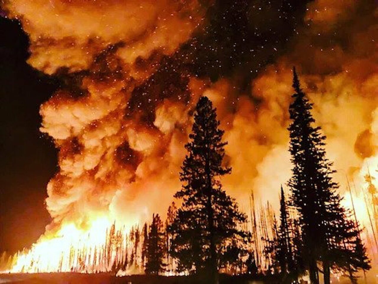 51 de morți în incendiile din CHILE/„În doar 60 de secunde am pierdut tot”