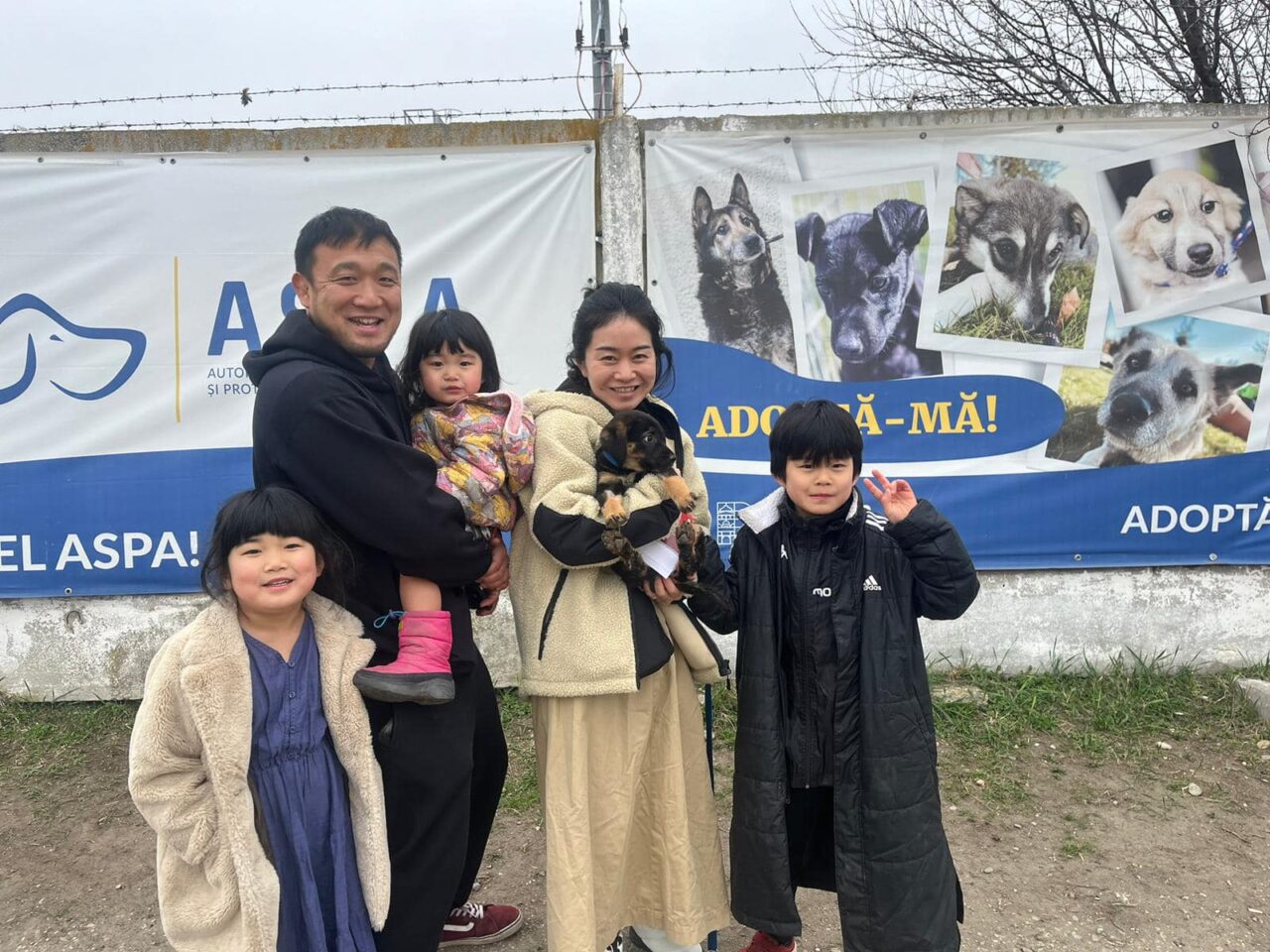 O familie de japonezi din România a adoptat un cățel dintr-un adăpost de la marginea Capitalei