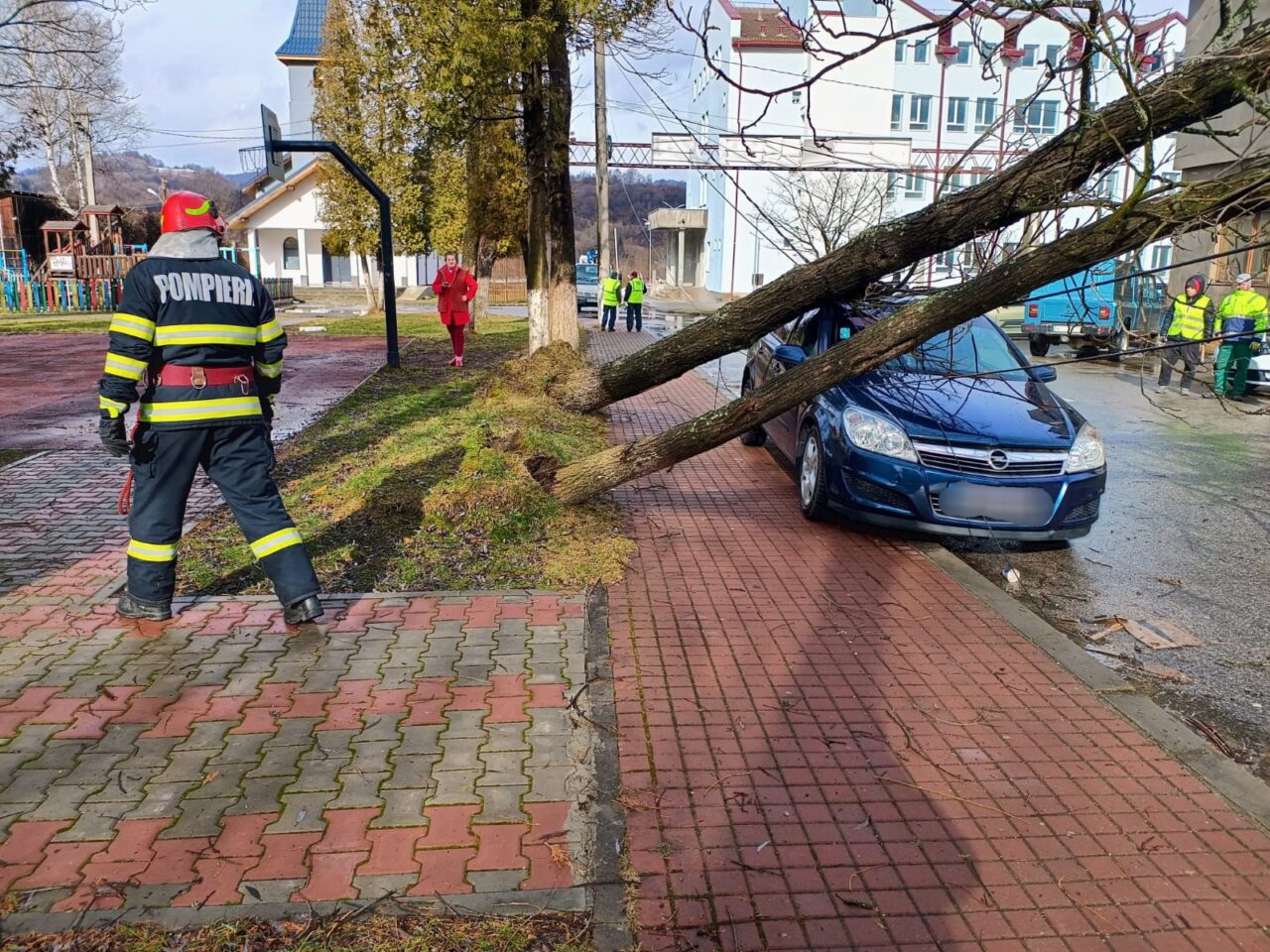 Cod galben de vânt. Vijelia a smuls copaci, cabluri și acoperișuri