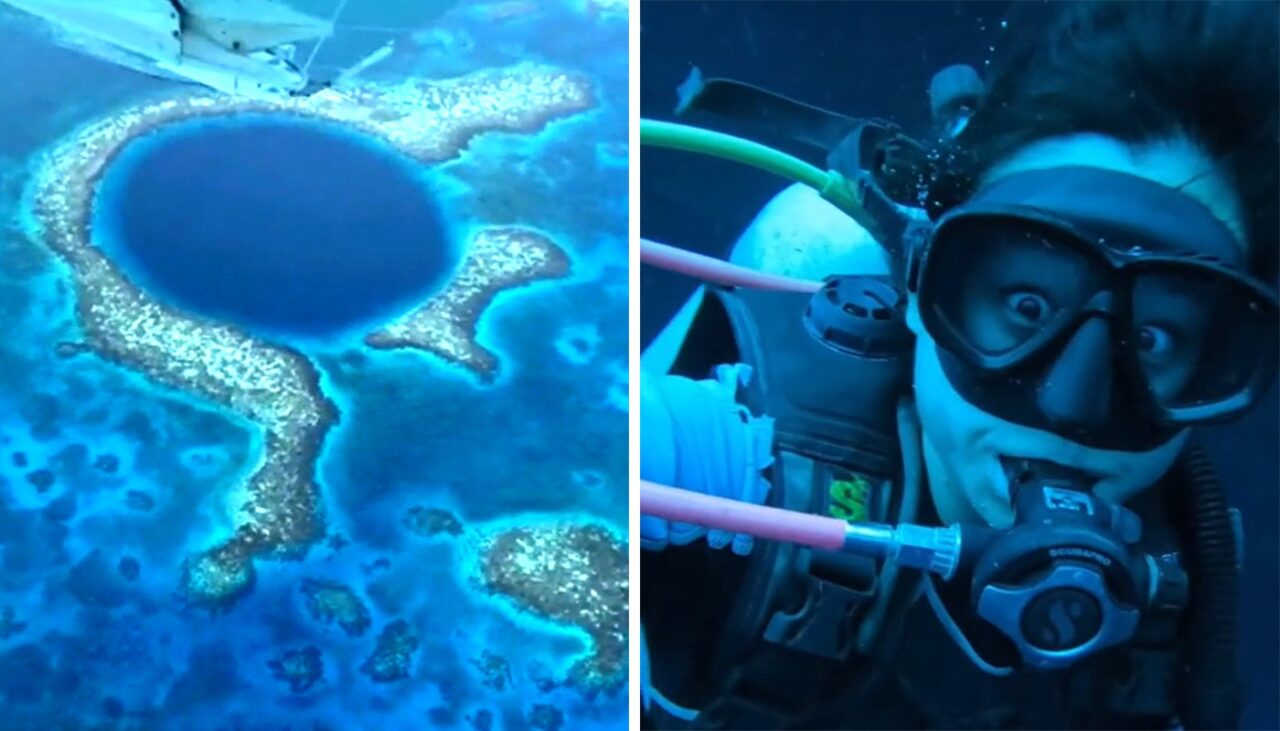 Descoperire IREALĂ la 120 de metri adâncime. Ce a găsit o scafandră în „Marea Gaură Albastră” din Belize